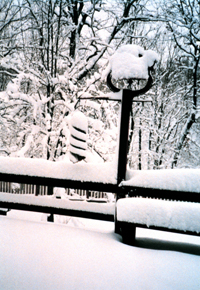 Snow-covered landscape.